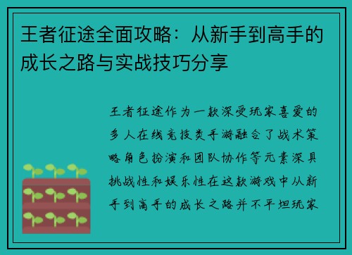 王者征途全面攻略：从新手到高手的成长之路与实战技巧分享