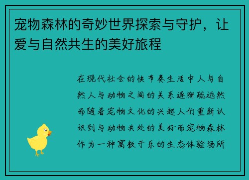 宠物森林的奇妙世界探索与守护，让爱与自然共生的美好旅程